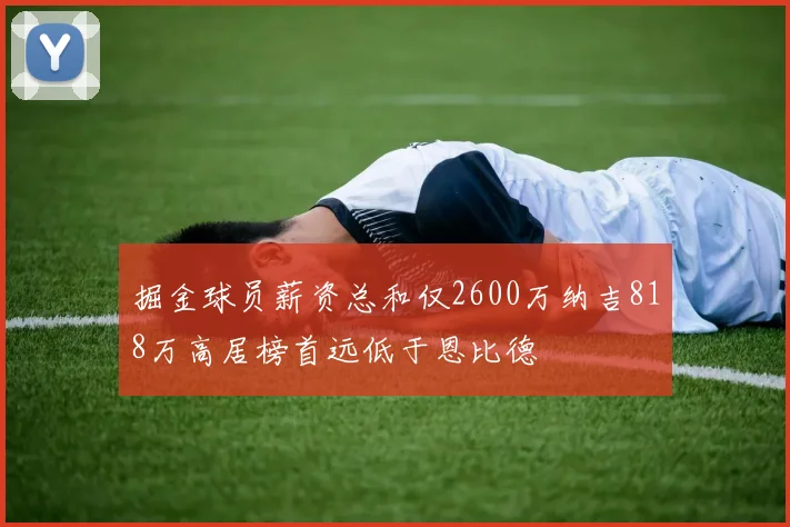 掘金球员薪资总和仅2600万纳吉818万高居榜首远低于恩比德