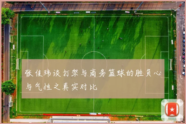 张佳玮谈打架与商务篮球的胜负心与气性之真实对比