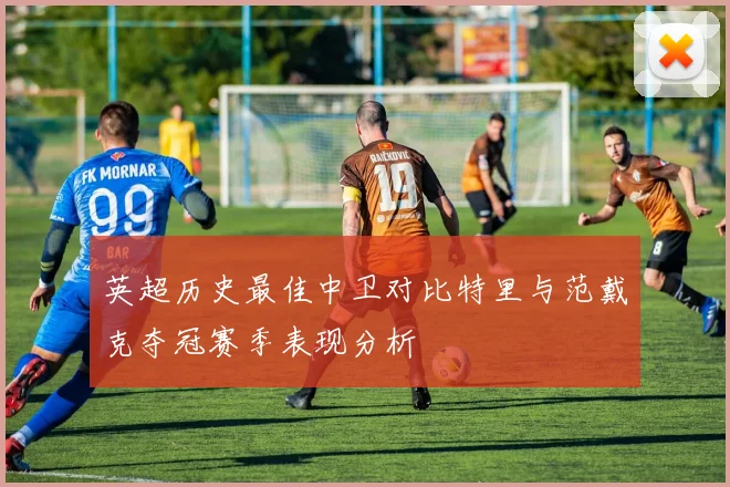 英超历史最佳中卫对比特里与范戴克夺冠赛季表现分析