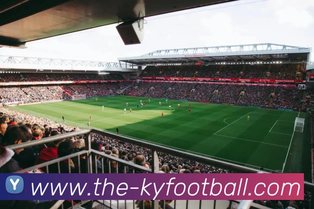 开云足球平台生态图