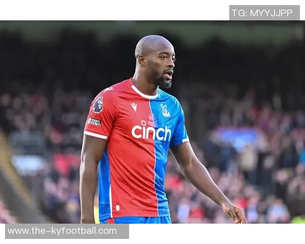 前水晶宫老板遭9700万美元索赔多家俱乐部集团陷入财务危机